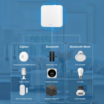 Puerta de enlace Smart Hub: WI-FI y Bluetooth