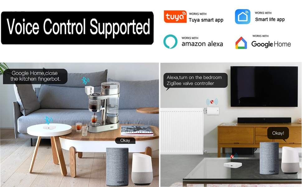 Puerta de enlace Smart Hub: WI-FI y Bluetooth